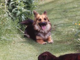 Goldsithney-7906_140