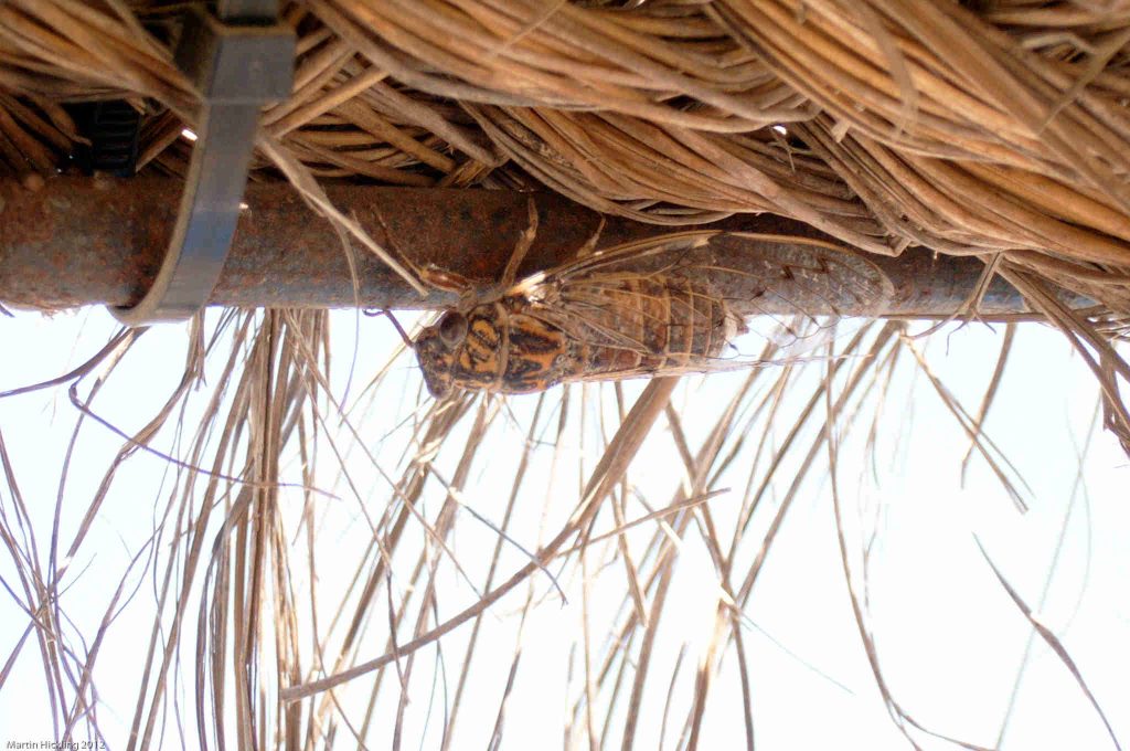 holidayspain 20021005 002155