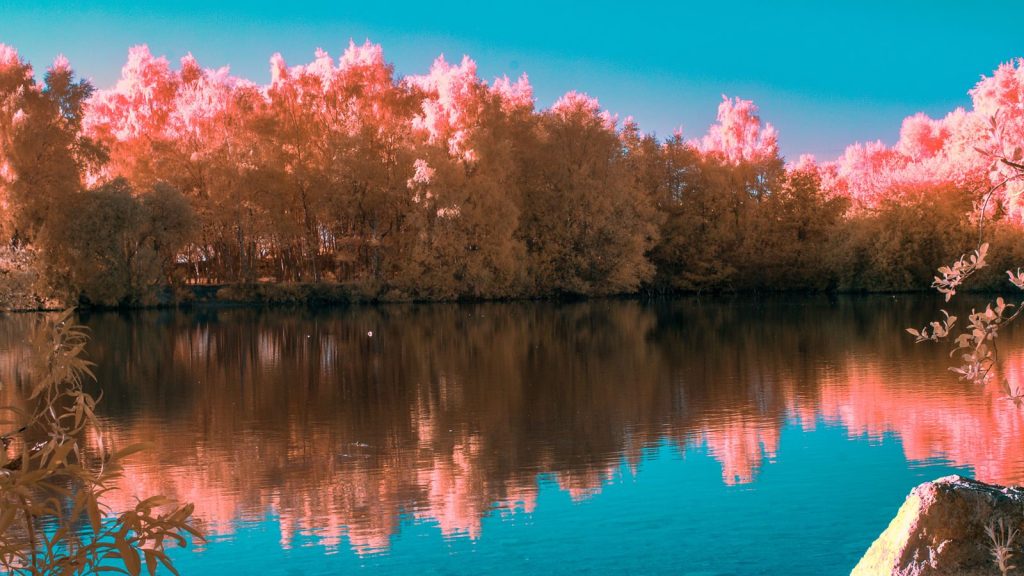 P9272216 Edit Edited 1024x576