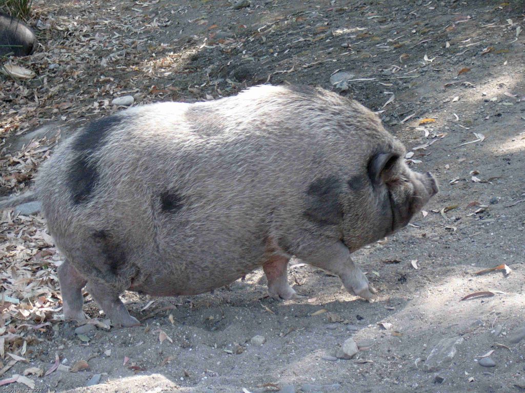 spainholiday 2000528 001108