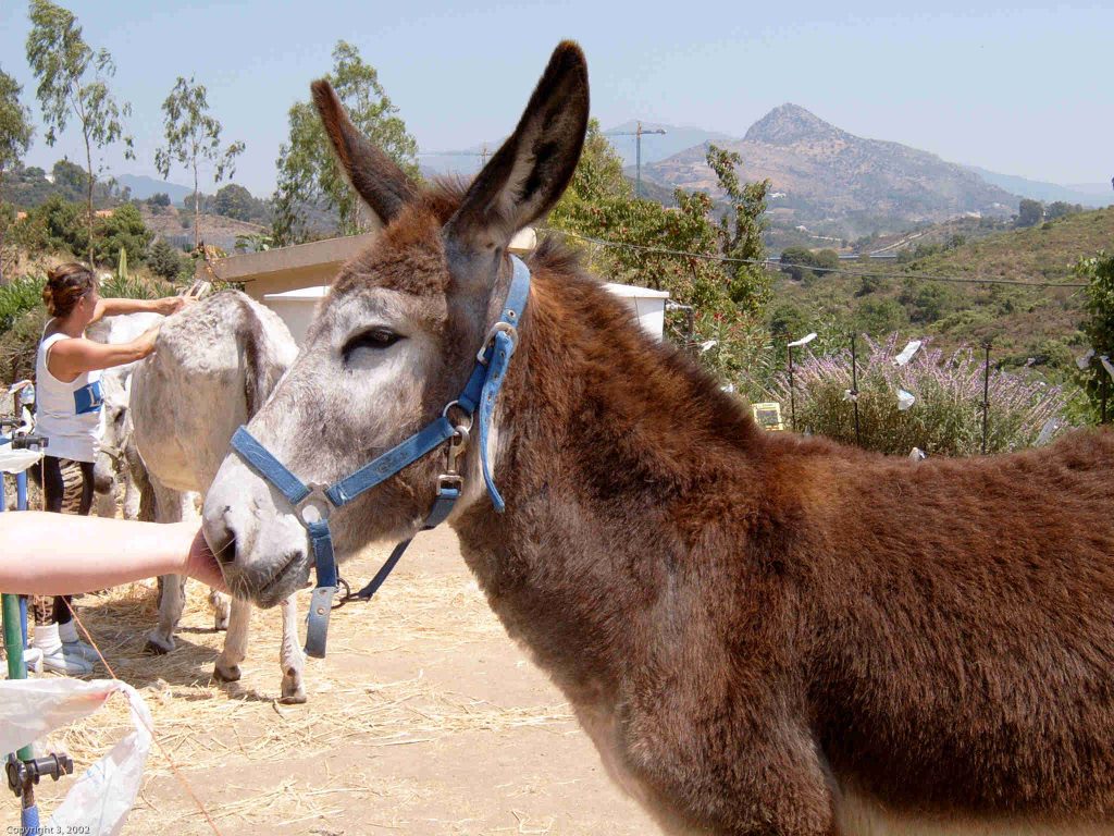 spainholiday 2000528 001110