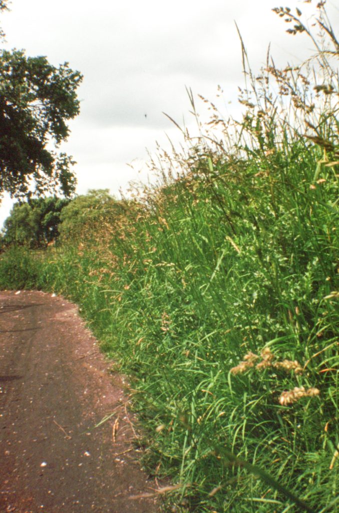 altrinchamgolfcoursel 7908 122