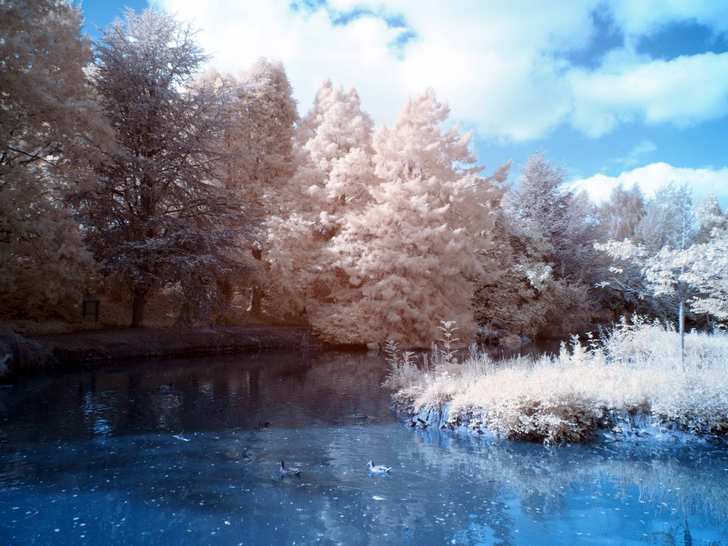 olympus digital camera