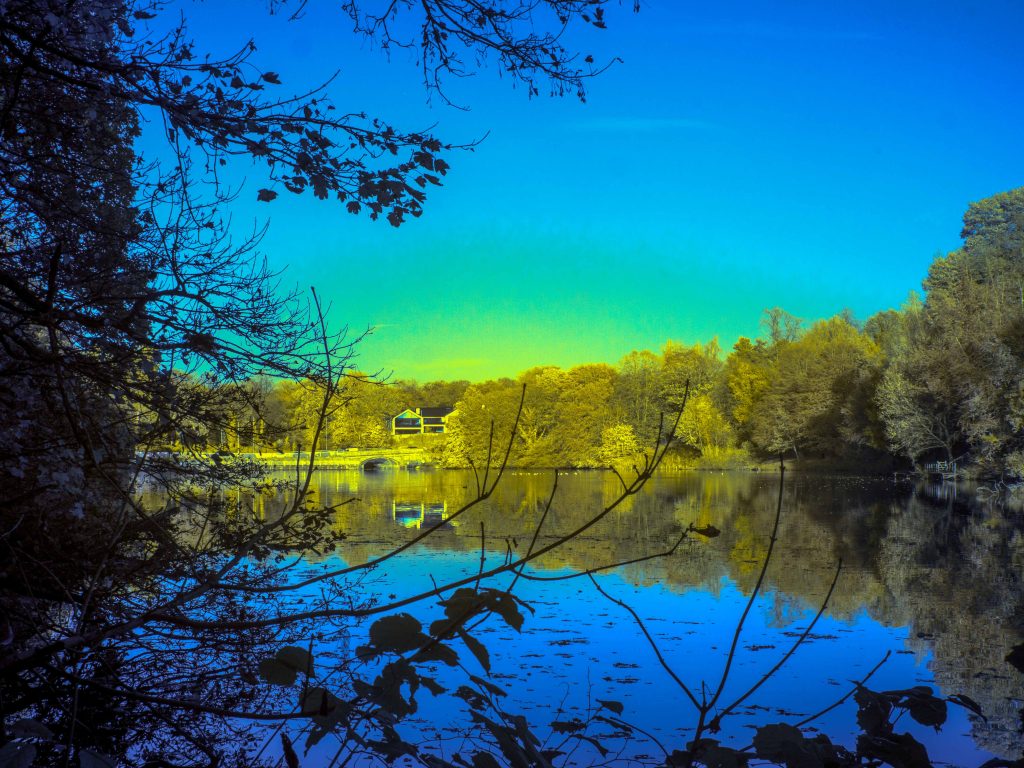 olympus digital camera