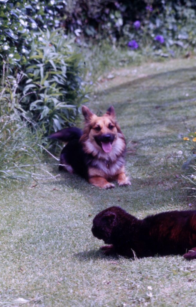 goldsithney 7906 140