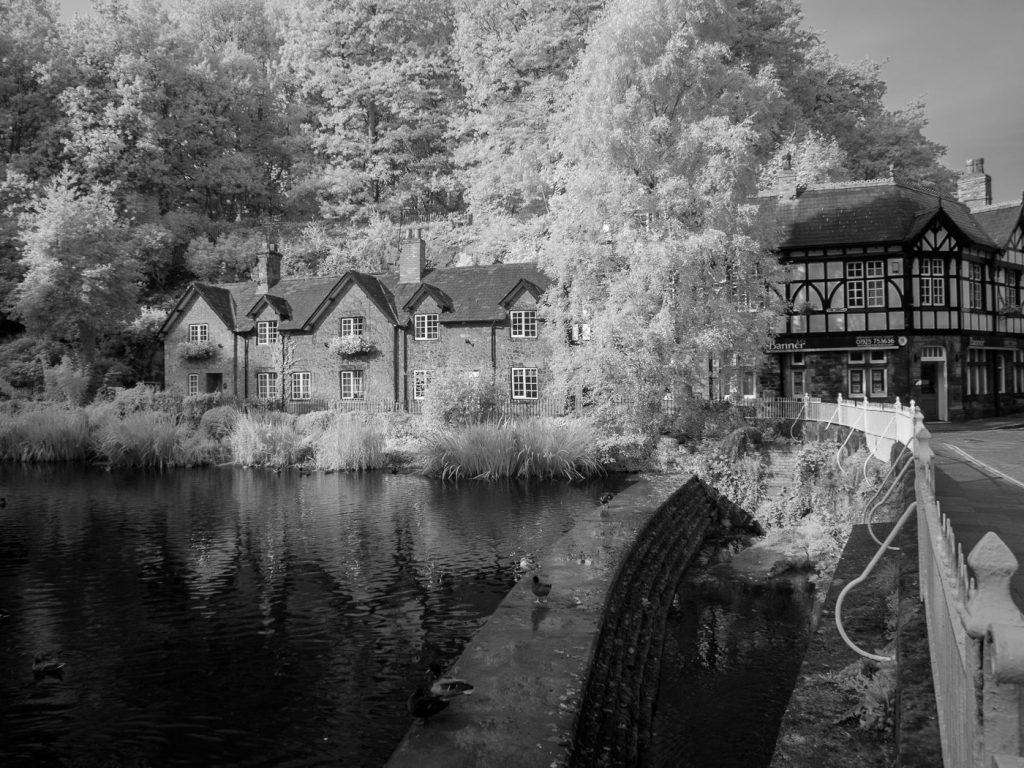 olympus digital camera