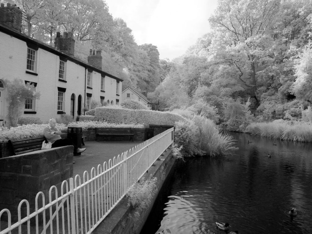 olympus digital camera