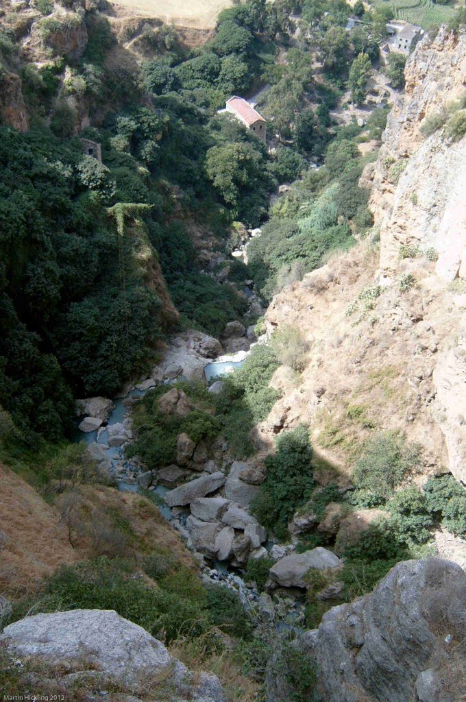 rhonda 20021130 0029